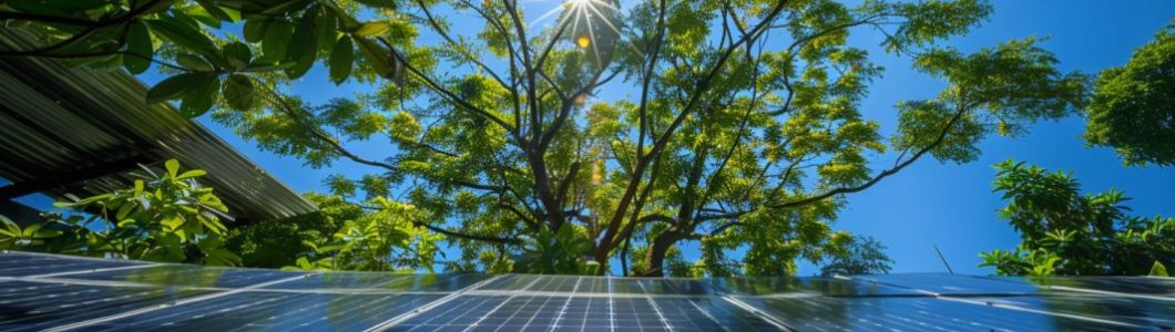 Foto von Solarzellen im Vordergrund mit dem Sonnenlicht, das durch das dichte Blätterdach eines großen Baumes bricht, was die Bedeutung von Schattenmanagement bei der Installation von Photovoltaikanlagen hervorhebt.